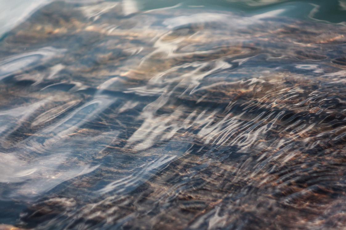 Earum tenetur earum aut quis